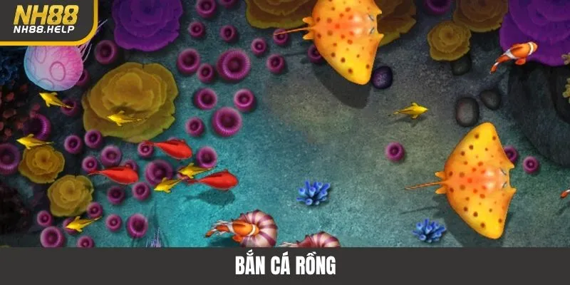 Bắn Cá Rồng NH88 - Trải Nghiệm Săn Sinh Vật Đổi Thưởng