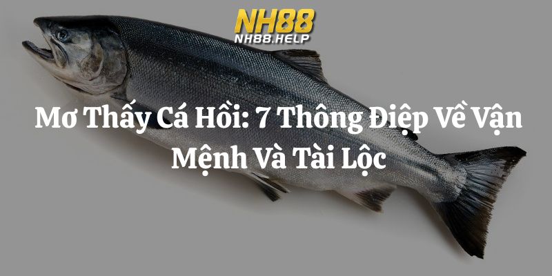 mơ thấy cá hồi nh88 thumb