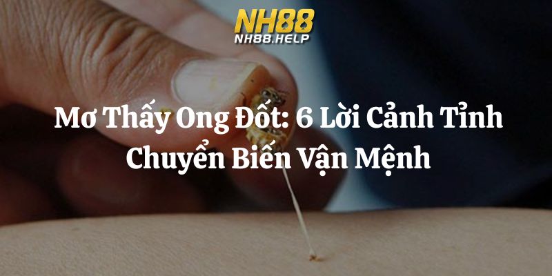 mơ thấy ong đốt nh88 thumb
