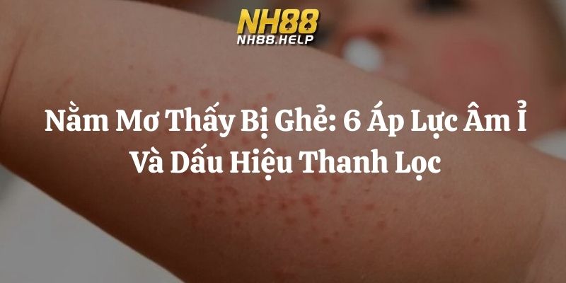 nằm mơ thấy bị ghẻ nh88 thumb