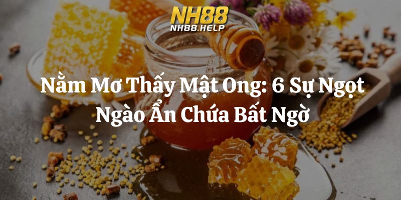 nằm mơ thấy mật ong nh88 thumb