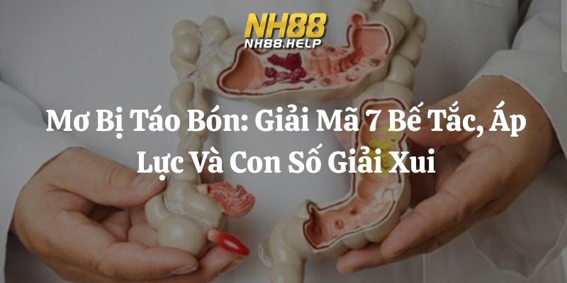 mơ bị táo bón nh88 thumb