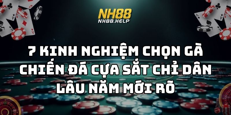 kinh nghiệm chọn gà chiến đá cựa sắt nh88 thumb